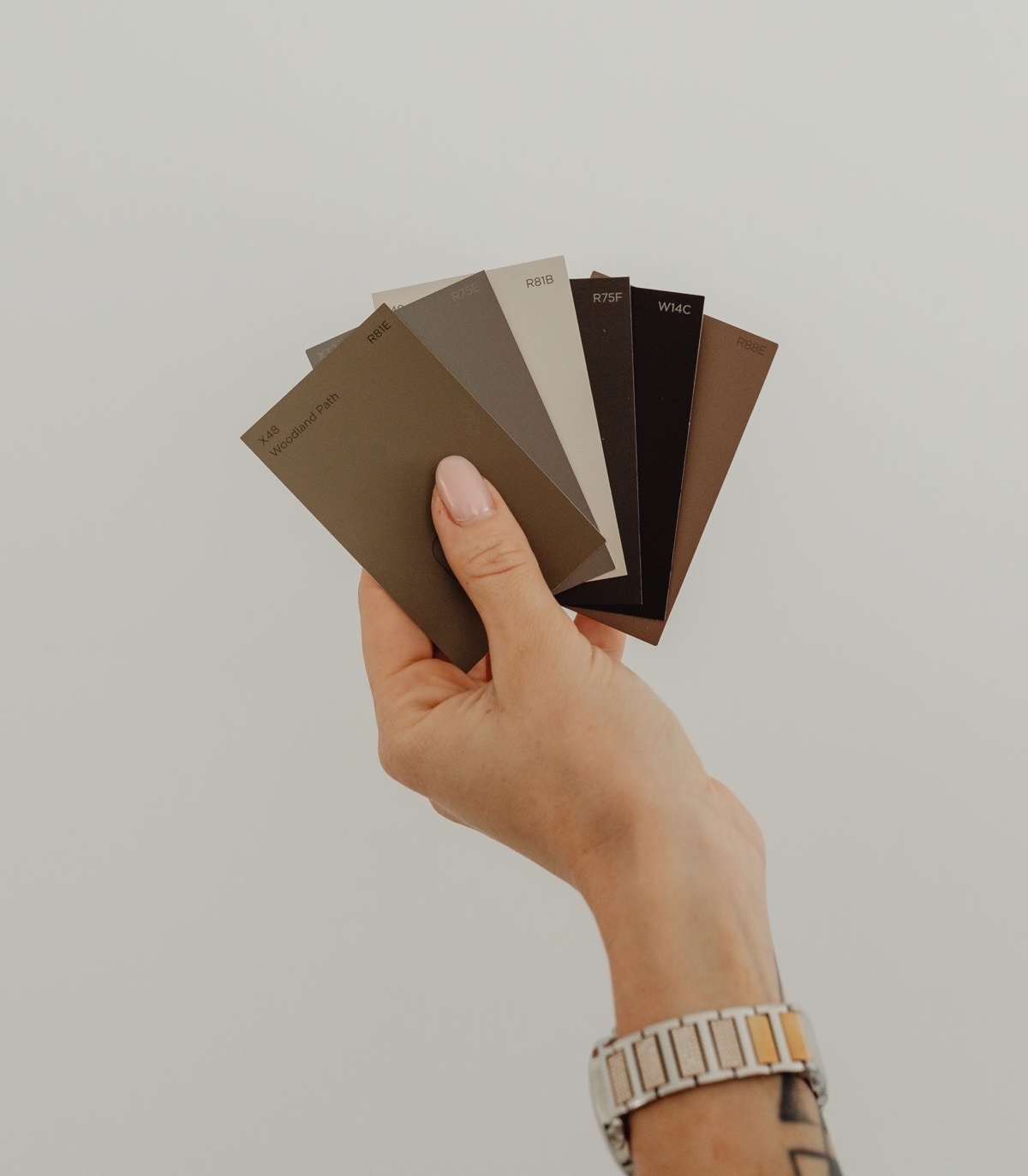 Color palette inspiration and design examples